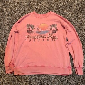 Hollister Pink Crewneck Sweater
